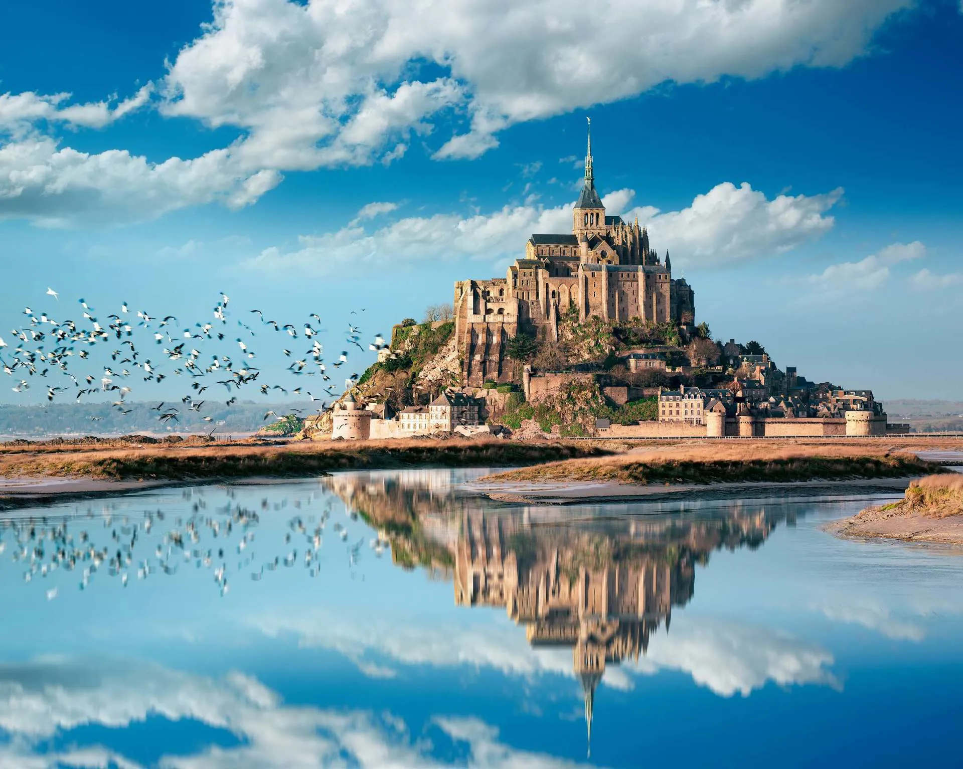 A view of the Mont Saint Michel in Brittany as seagulls fly by.