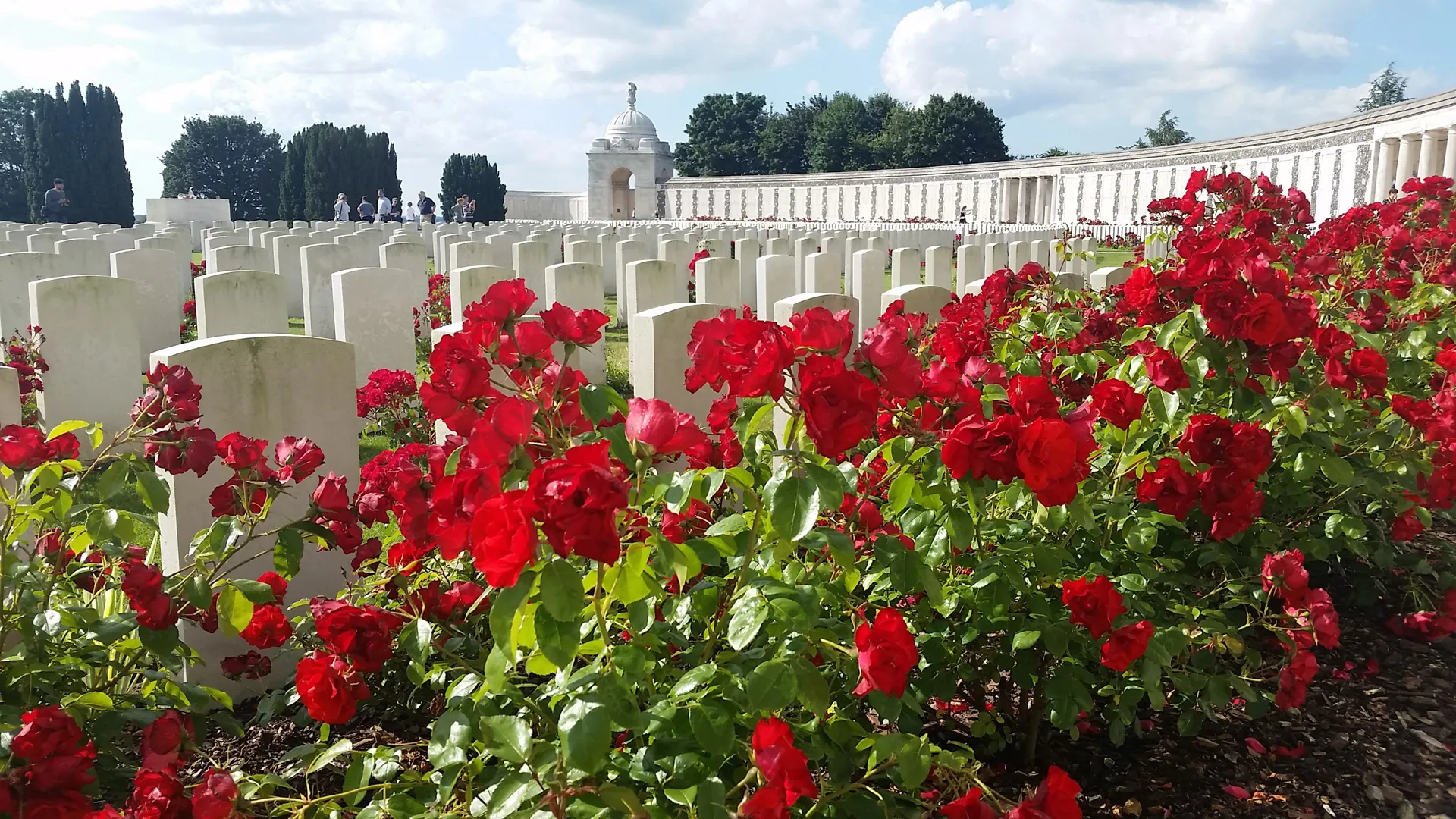 Tyne Cot Commonwealth War Graves Commission Cemetery, Flanders Image