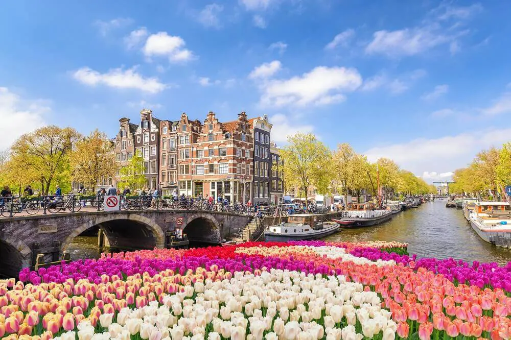 A river in Amsterdam, with a brick bridge going over it and white, pink and red flowers lining the river.