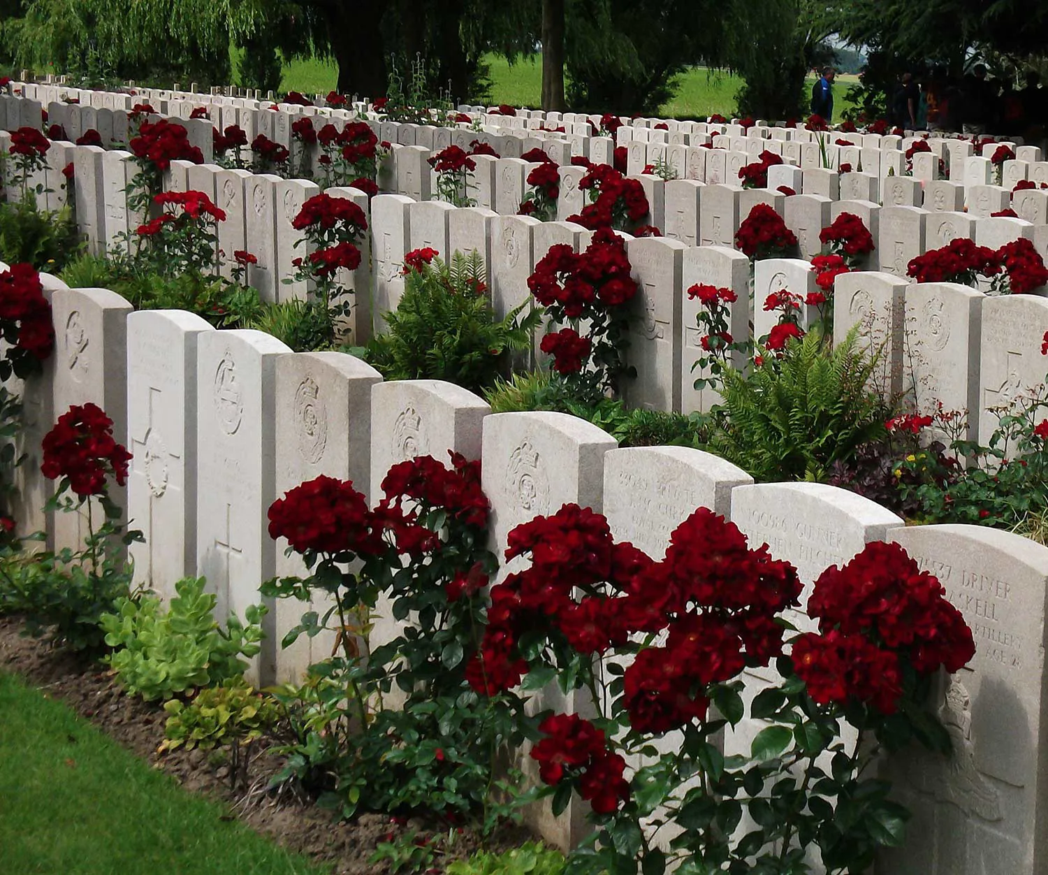 Lijssenthoek B Image