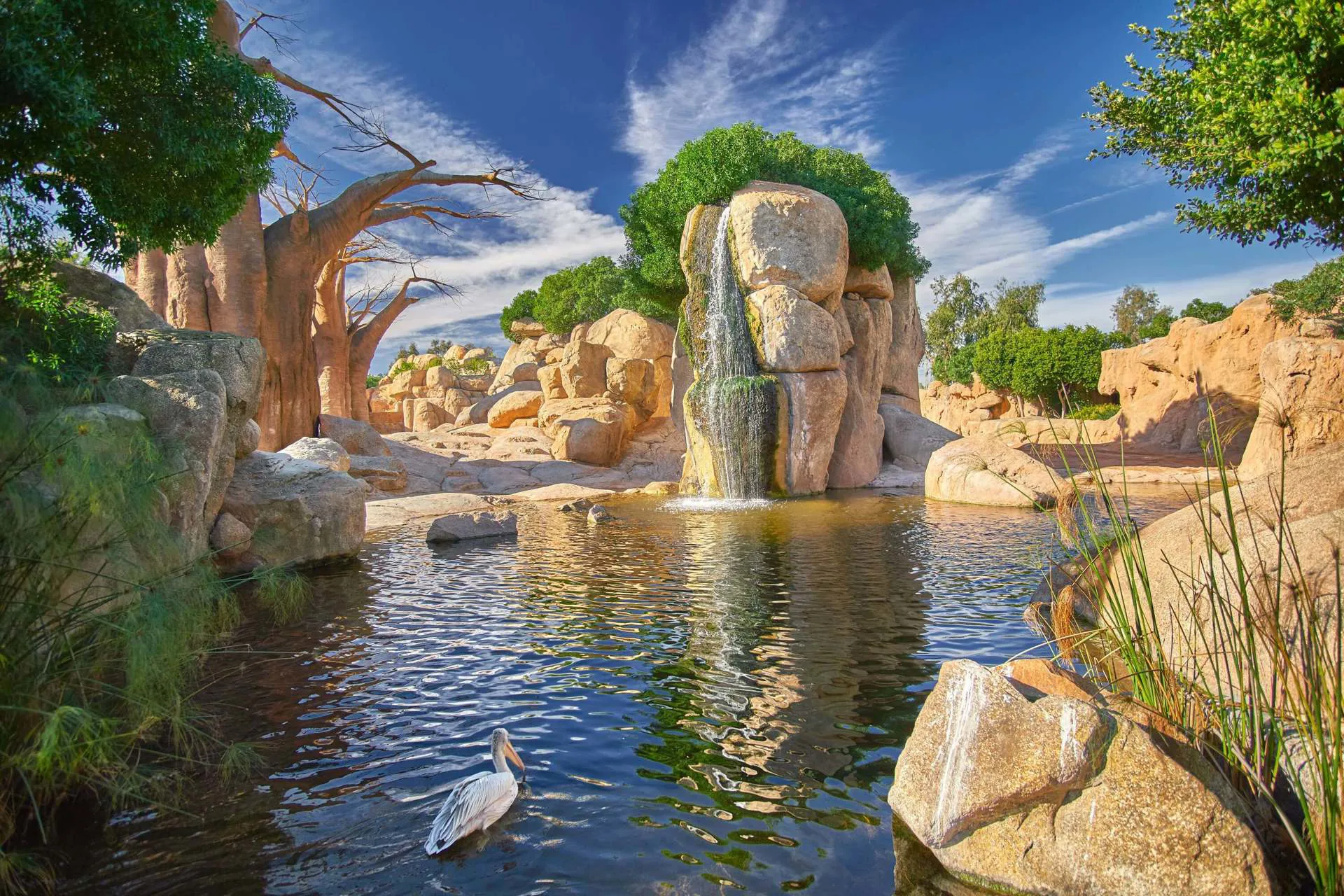 Valencia - Bioparc Zoo Image