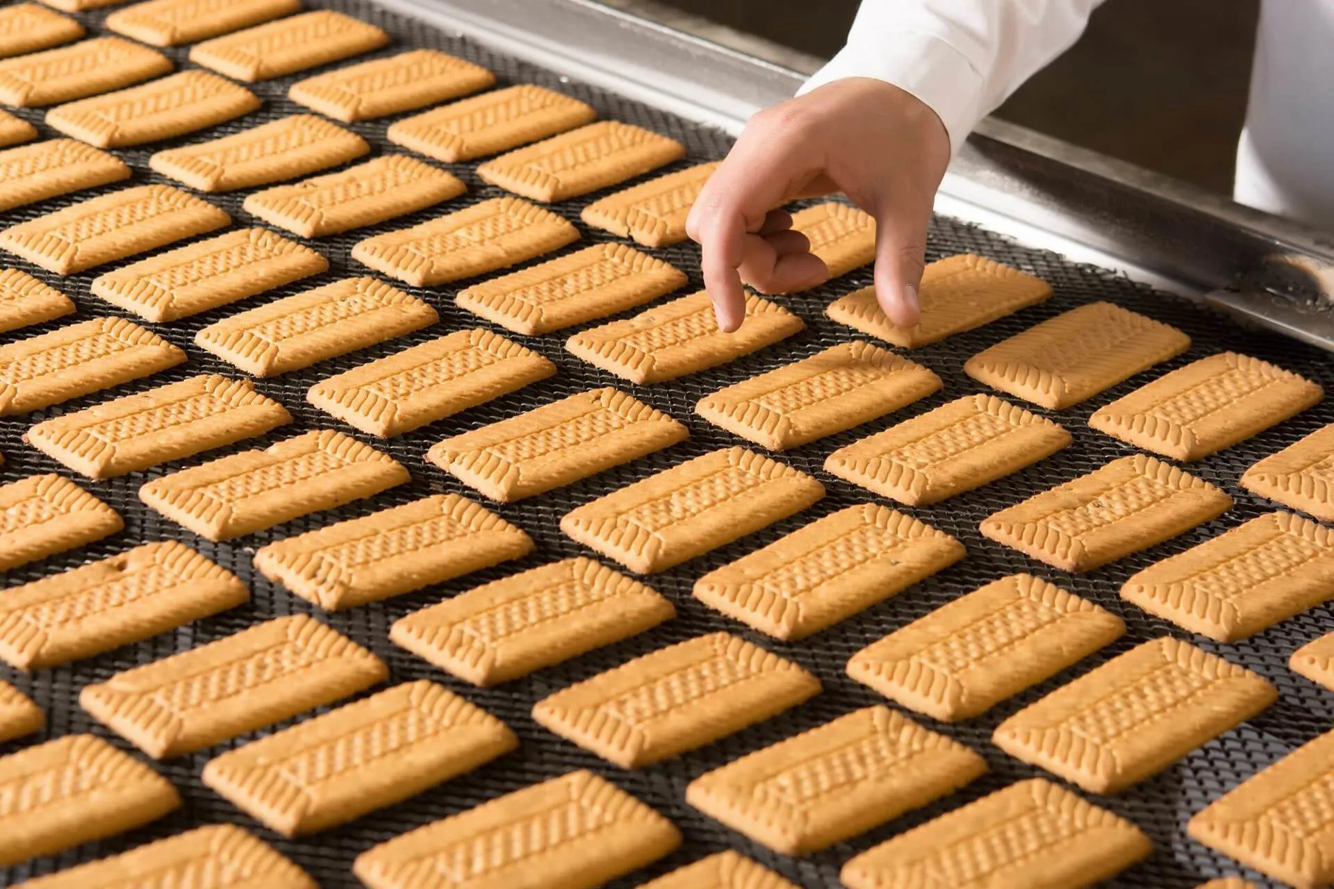 Normandy Biscuit Factory Image