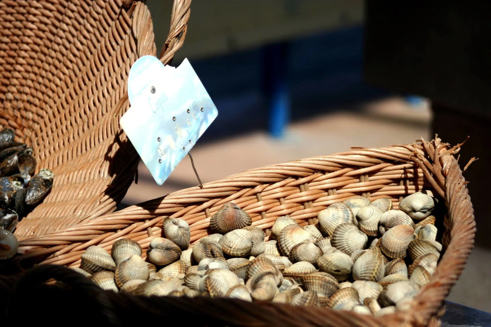 Normandy - Clams Image