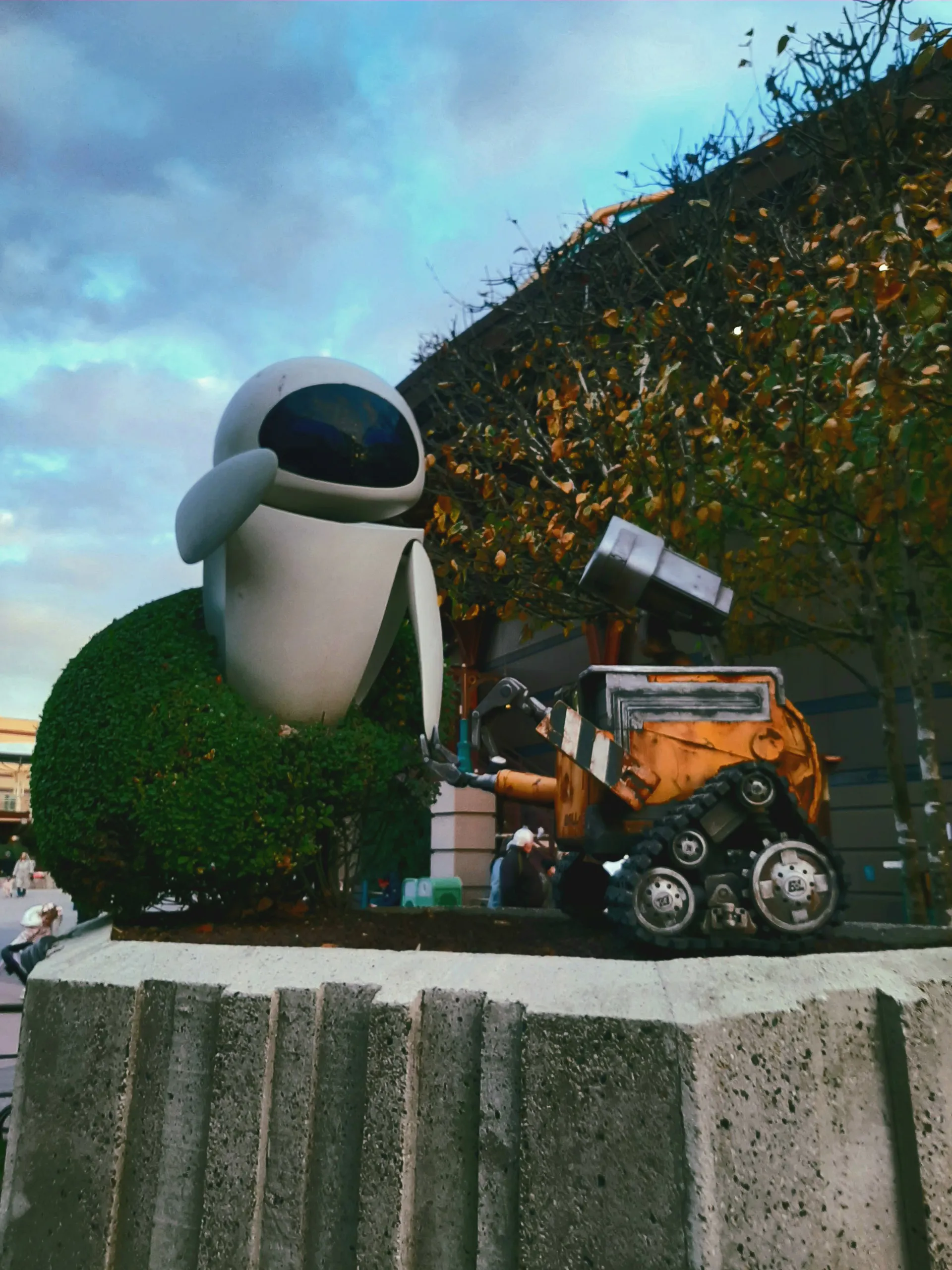 Kingsmeadow Nov 25 Iris 4 Image