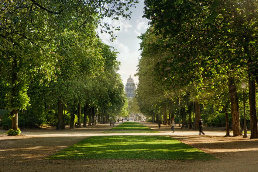 A head on view of Brussels Park, as trees line two pavements separated by a large grass patch.