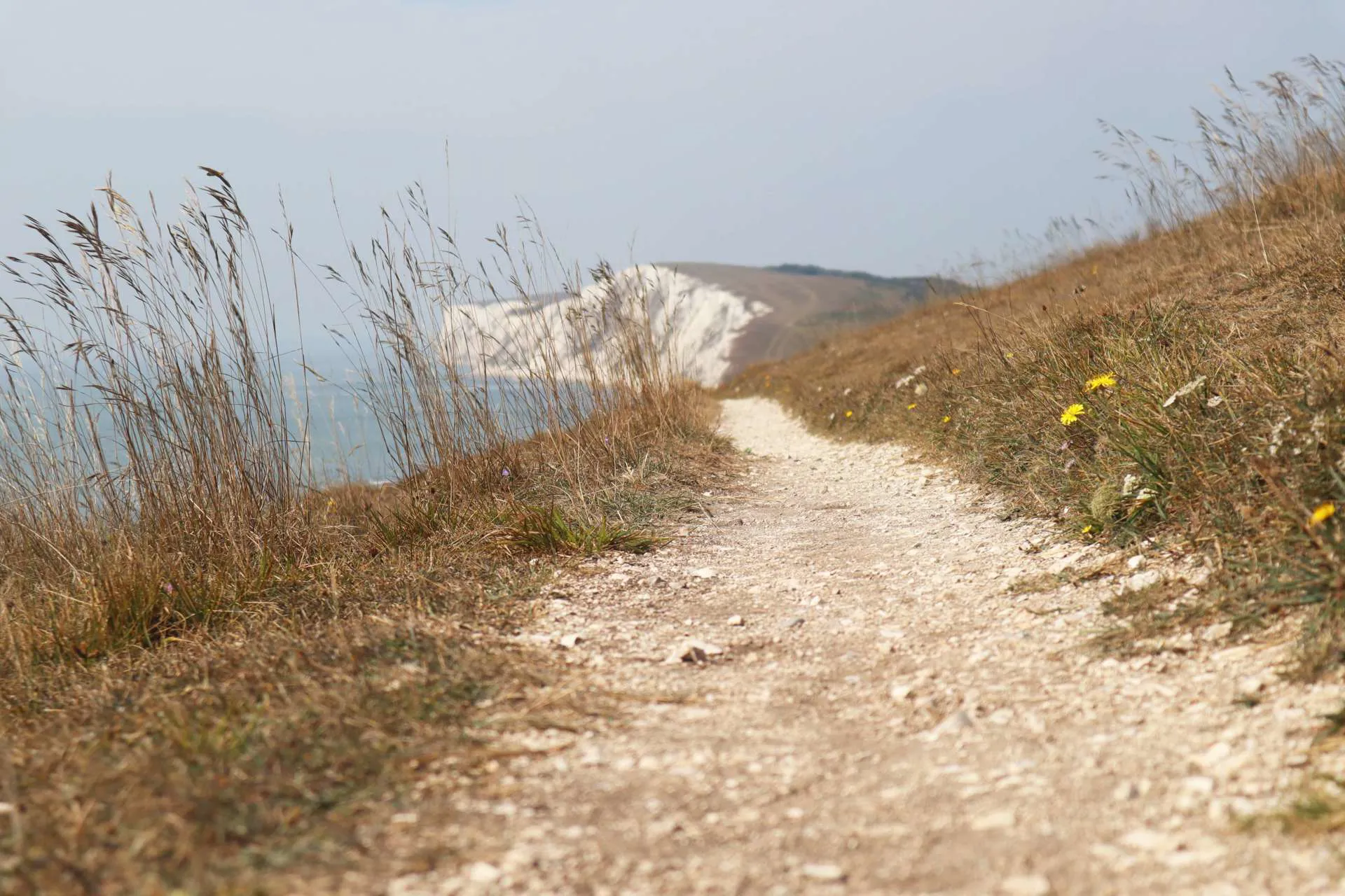 Isle of Wight - Coastal Walk Image