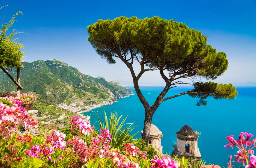 Pink flowers and a tree overlook the ocean on the Amalfi Coast.