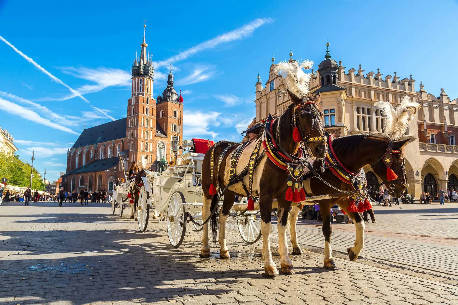 A horse and carriage in Rynek Główny, Krakow’s main square.