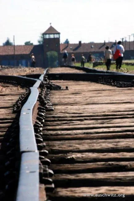 Train tracks - Auschwitz Birkenau Image
