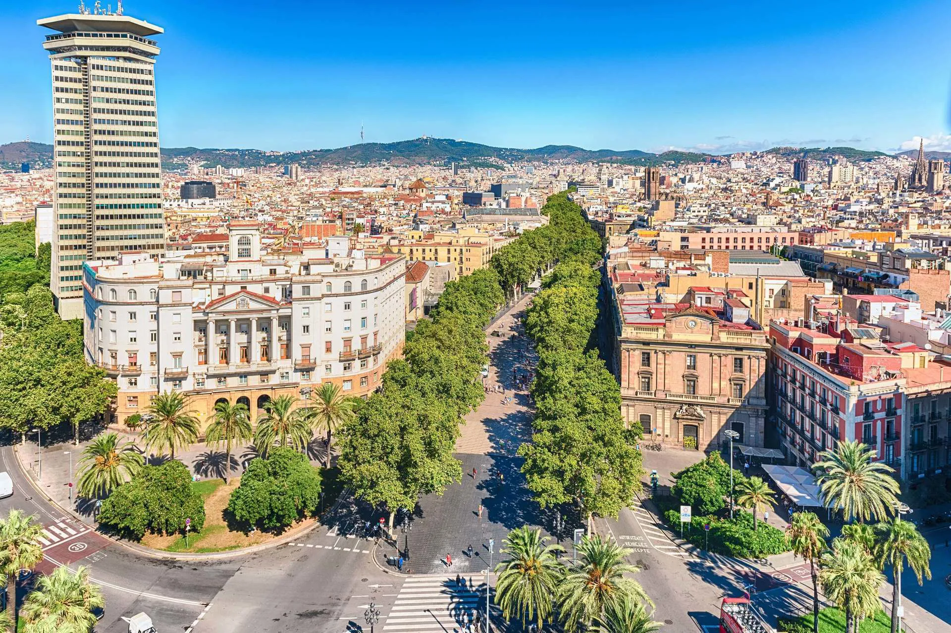 An aerial view of Las Ramblas, a long street lined with trees