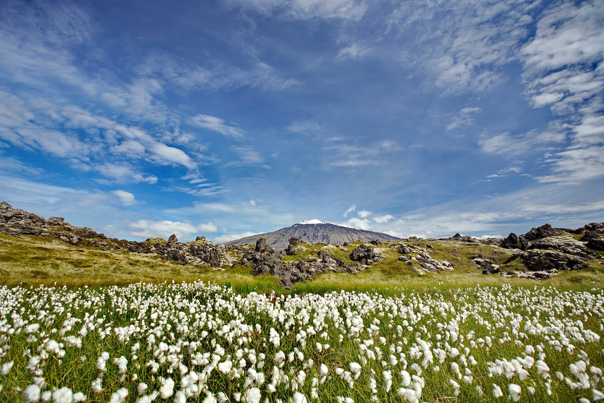 Iceland Wonders Of Snæfellsnes Image